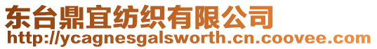 東臺鼎宜紡織有限公司