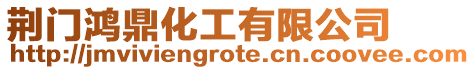 荊門鴻鼎化工有限公司