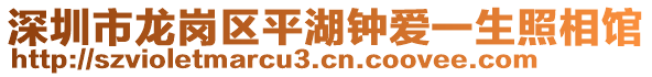 深圳市龍崗區(qū)平湖鐘愛(ài)一生照相館