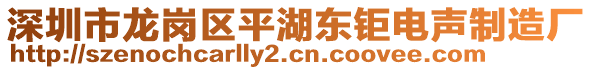 深圳市龍崗區平湖東鉅電聲制造廠
