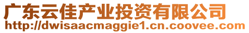 廣東云佳產業(yè)投資有限公司