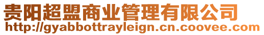 貴陽超盟商業管理有限公司