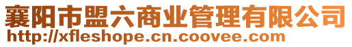 襄陽市盟六商業(yè)管理有限公司
