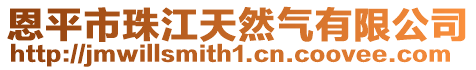 恩平市珠江天然氣有限公司