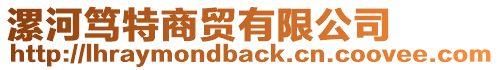 漯河篤特商貿(mào)有限公司