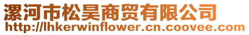 漯河市松昊商貿有限公司