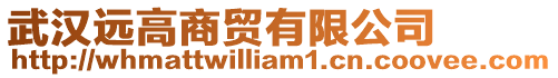 武漢遠(yuǎn)高商貿(mào)有限公司