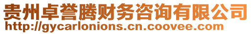 貴州卓譽騰財務咨詢有限公司