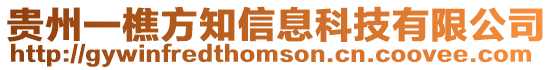 貴州一樵方知信息科技有限公司