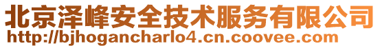 北京澤峰安全技術(shù)服務(wù)有限公司