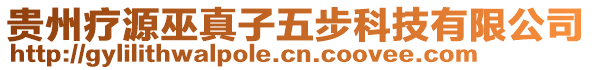 貴州療源巫真子五步科技有限公司