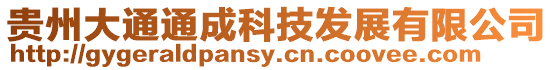 貴州大通通成科技發展有限公司