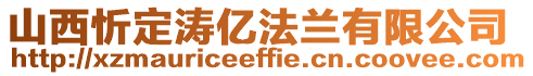 山西忻定濤億法蘭有限公司