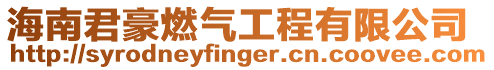 海南君豪燃氣工程有限公司