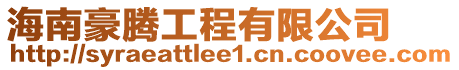 海南豪騰工程有限公司