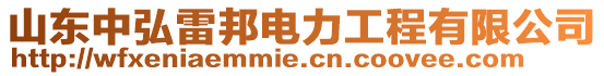 山東中弘雷邦電力工程有限公司