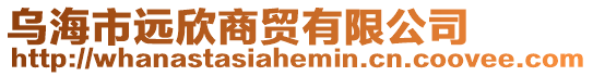 烏海市遠欣商貿(mào)有限公司