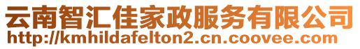 云南智匯佳家政服務有限公司