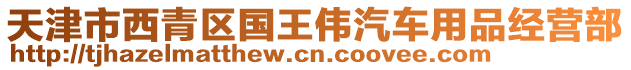 天津市西青區國王偉汽車用品經營部