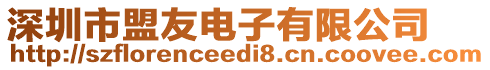 深圳市盟友電子有限公司