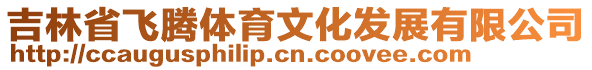 吉林省飛騰體育文化發展有限公司