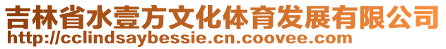 吉林省水壹方文化體育發(fā)展有限公司