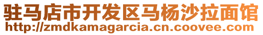 駐馬店市開發(fā)區(qū)馬楊沙拉面館