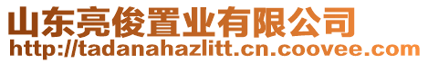 山東亮俊置業(yè)有限公司