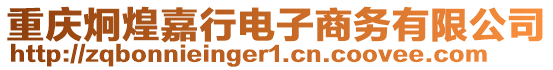 重慶炯煌嘉行電子商務(wù)有限公司