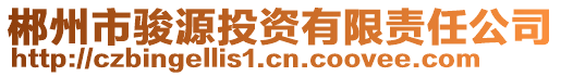 郴州市骏源投资有限责任公司