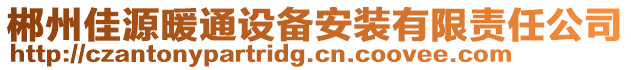 郴州佳源暖通設(shè)備安裝有限責(zé)任公司