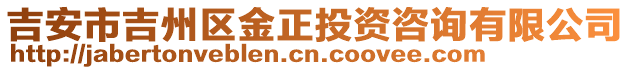 吉安市吉州区金正投资咨询有限公司