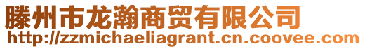 滕州市龍瀚商貿(mào)有限公司