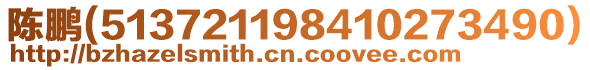 陳鵬(513721198410273490)