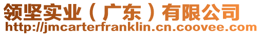領(lǐng)堅(jiān)實(shí)業(yè)（廣東）有限公司