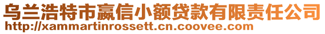 烏蘭浩特市嬴信小額貸款有限責任公司