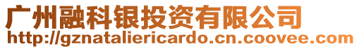 廣州融科銀投資有限公司