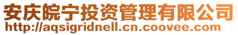安慶皖寧投資管理有限公司
