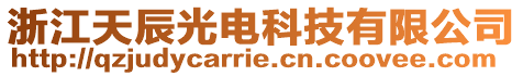 浙江天辰光電科技有限公司