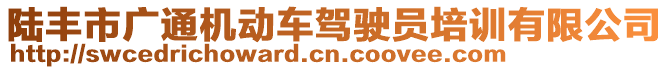 陸豐市廣通機動車駕駛員培訓(xùn)有限公司