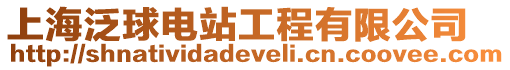 上海泛球電站工程有限公司