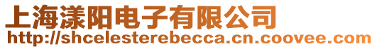 上海漾陽電子有限公司