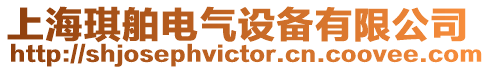 上海琪舶電氣設(shè)備有限公司