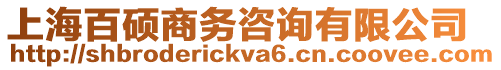上海百碩商務(wù)咨詢有限公司