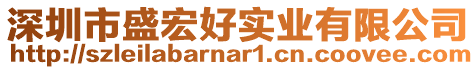 深圳市盛宏好實業(yè)有限公司