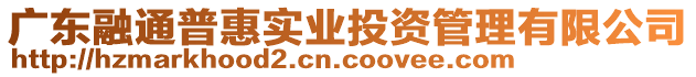 廣東融通普惠實業(yè)投資管理有限公司