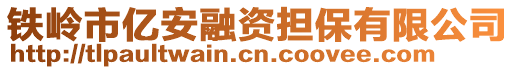 鐵嶺市億安融資擔(dān)保有限公司