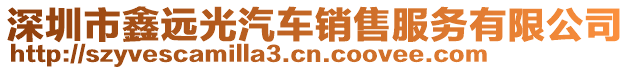 深圳市鑫远光汽车销售服务有限公司