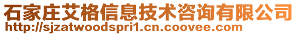 石家莊艾格信息技術(shù)咨詢有限公司