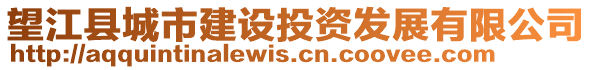 望江縣城市建設(shè)投資發(fā)展有限公司